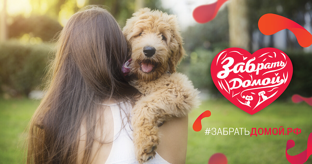 Забратьдомой.рф