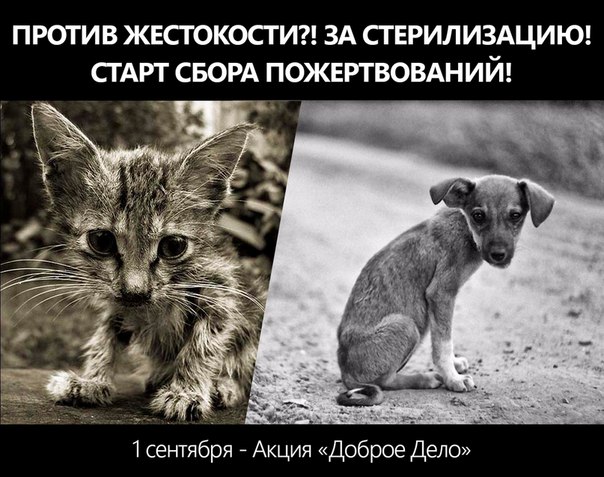 Акция «Доброе дело» 2016