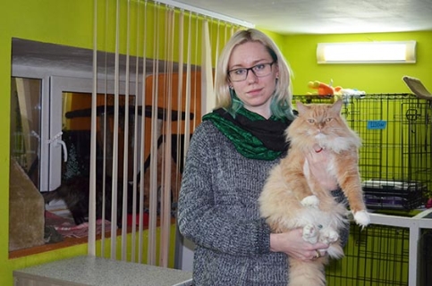 2016 Год: Статья