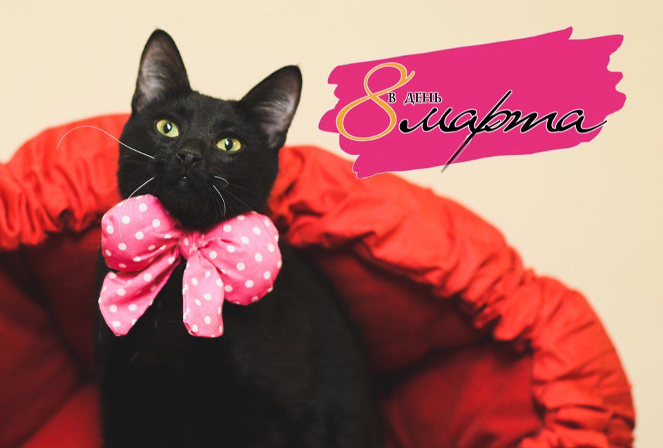 Акция 8 марта