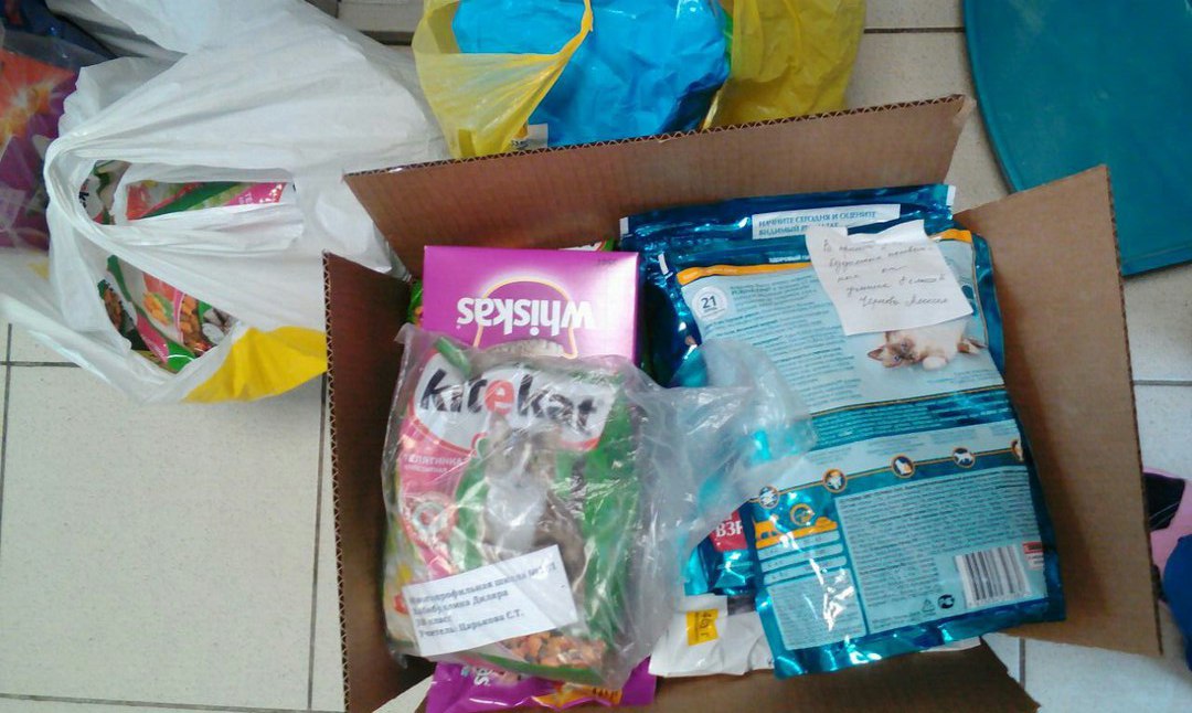 В гостях у приюта