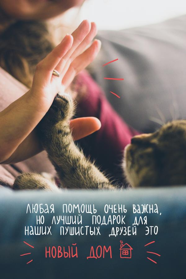 Кружки с нашими подопечными!