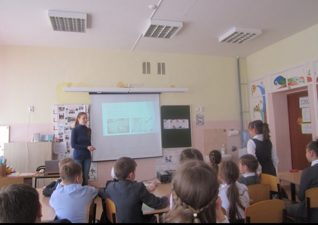 Спешите записать детишек в Школу юного зооволонтера!