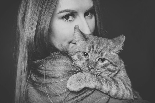 Любовь и Рыжик