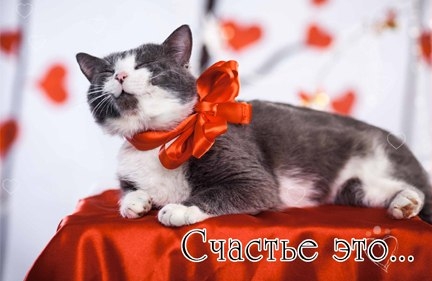 Our special action for the St. Valentine's Day