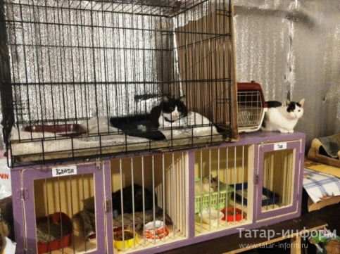 2014 Год: Статья