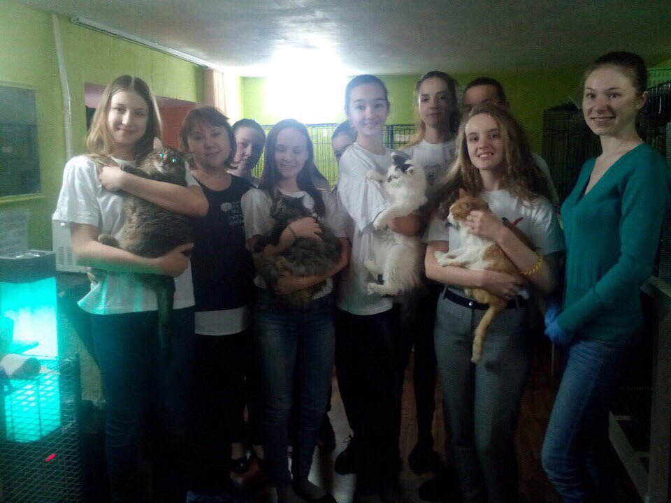 Спешите записать детишек в Школу юного зооволонтера!