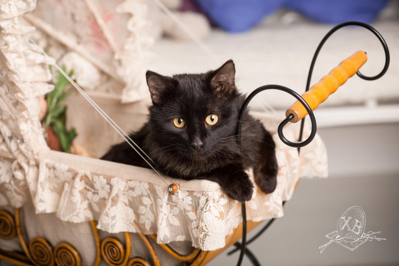 Подари открытку - подари помощь