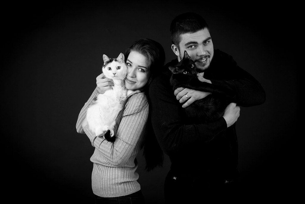 Дина и Александр, кошка Мюсля и кот Ночная Фурия (Фурик)