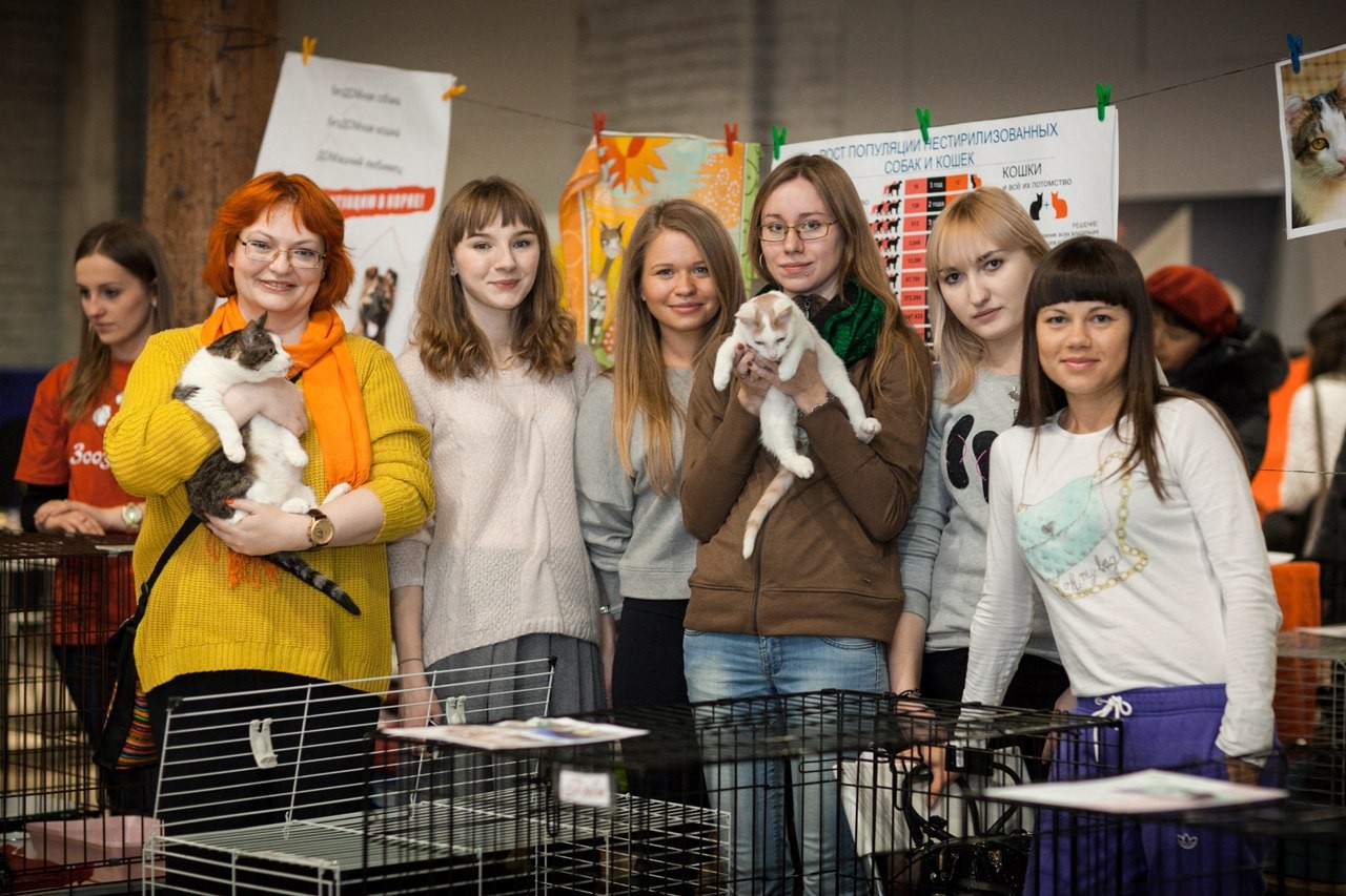 Выставка «Дорога Домой»