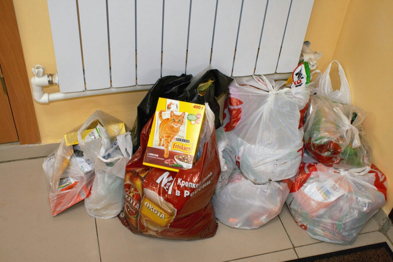 В гостях у приюта