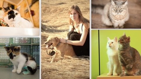 2015 Год: Статья