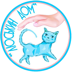 "Lucy's house" shelter "Lucy's house" shelter