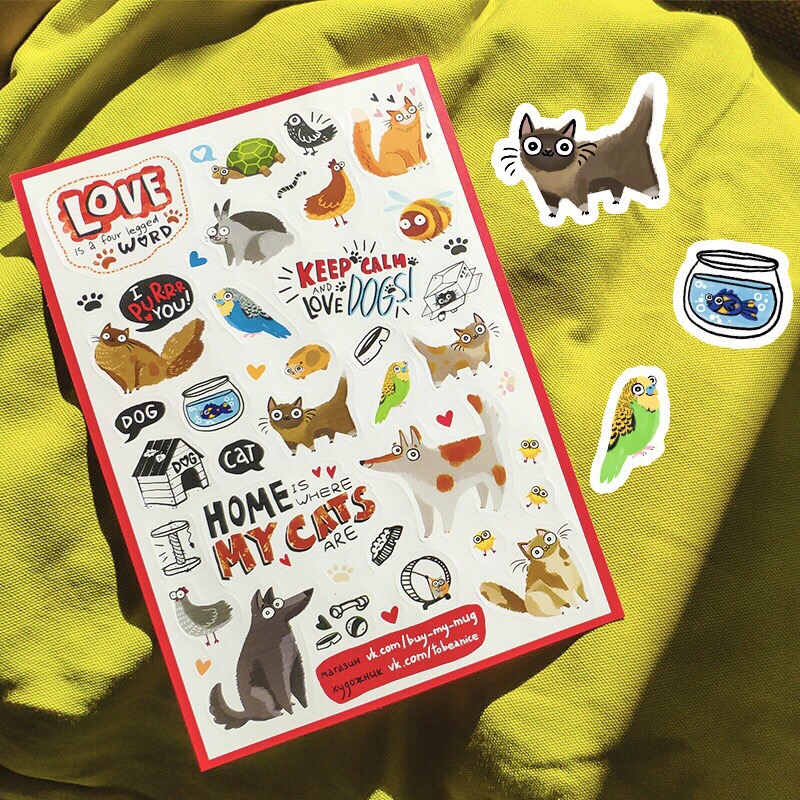 Я и мой заМУРчательный друг!