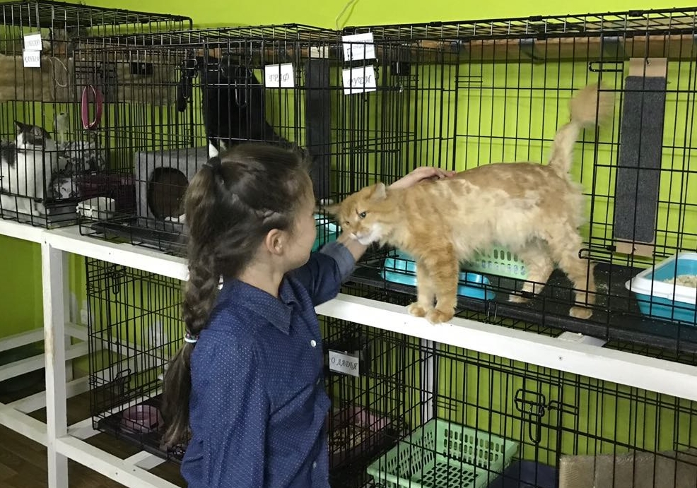 В гостях у приюта