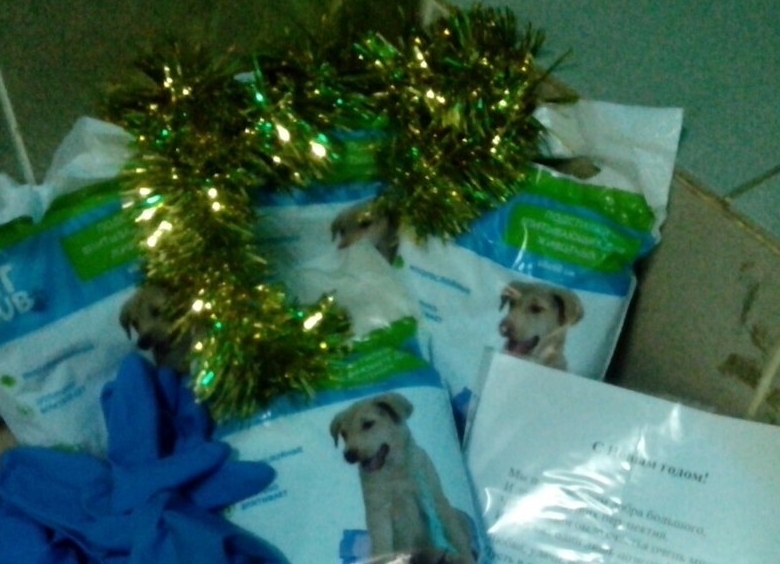 В гостях у приюта