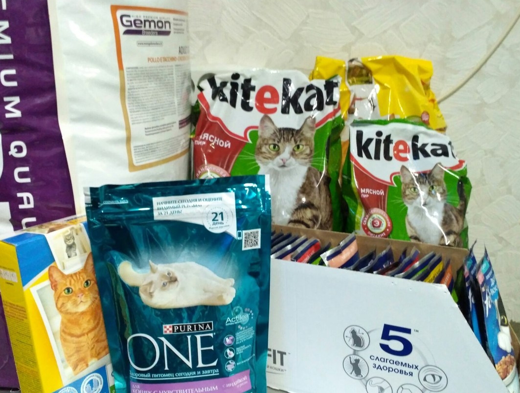 В гостях у приюта