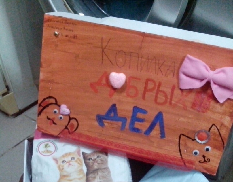 В гостях у приюта