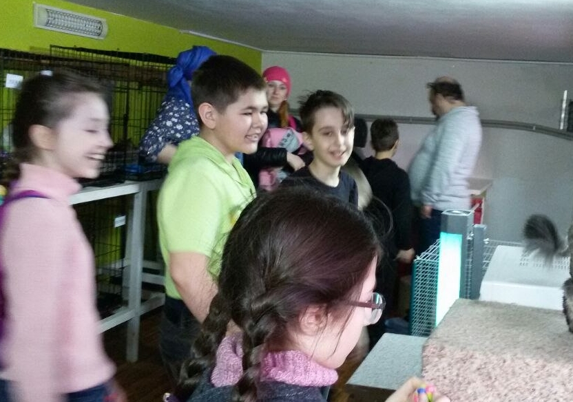 В гостях у приюта