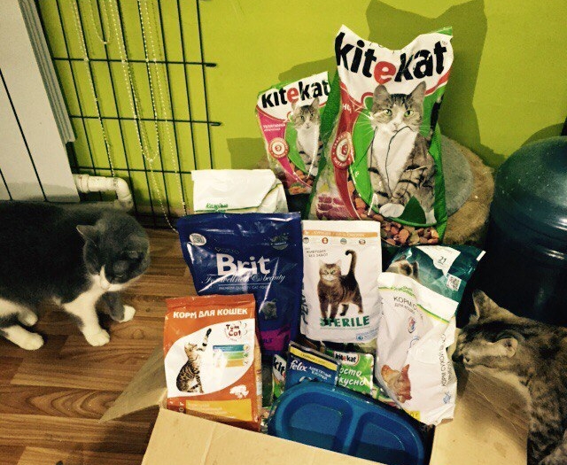 В гостях у приюта