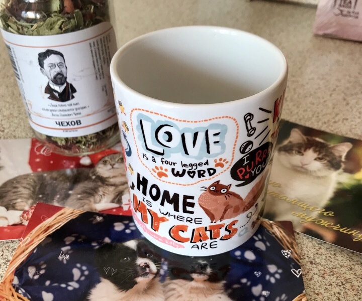 Итоги фотоконкурса "Я и мой заМУРчательный друг!"