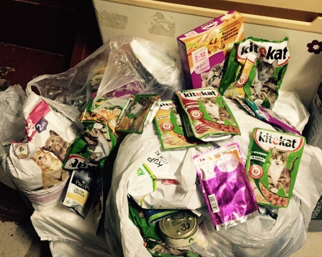 В гостях у приюта