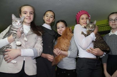 Школа юного зооволонтера откроется в Казани
