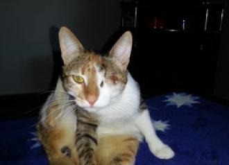 Дашка (Жанна)