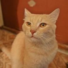 Персей
