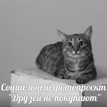 Социальный фото-проект «Друзей не покупают»