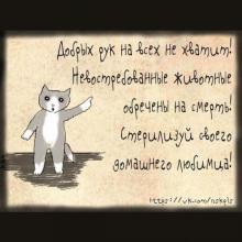 Стерилизовать = спасти жизнь!