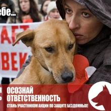 Акция «Доброе дело»