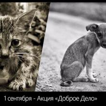 Акция «Доброе дело» 2016