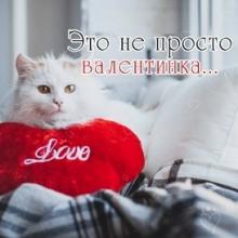 Акция «Кошки, которые подарят любовь!»