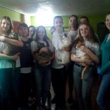 Практические занятия - посещения приютов