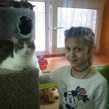 Социальное кино и реклама, 2 занятие