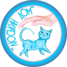 Shelter for stray cats «Lucy's house», Kazan