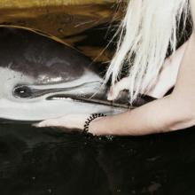 Агни - Белый свет