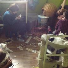 В гостях у приюта 22.05.2017