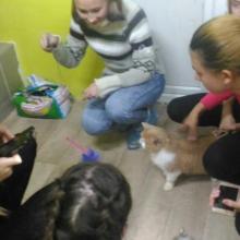 В гостях у приюта 02.11.2017