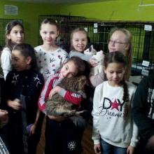 В гостях у приюта 09.12.2017