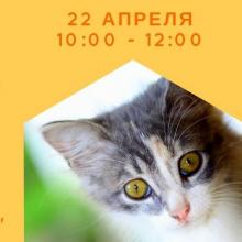 ДЕНЬ ДОБРА: помогаем «Люськиному дому»