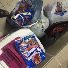 В гостях у приюта 26.04.2016