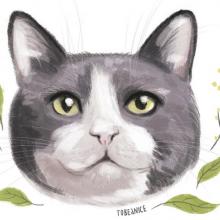 Кружки с нашими подопечными!