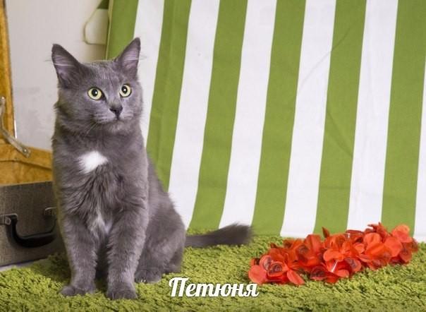 Петюня