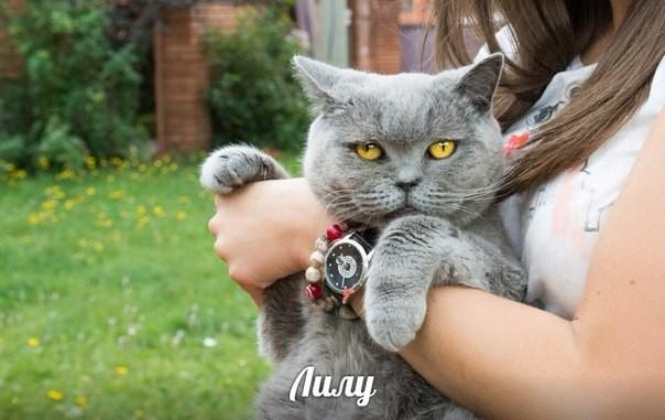 Лилу