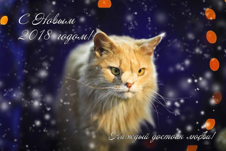 Открытка № 3, Мотильда