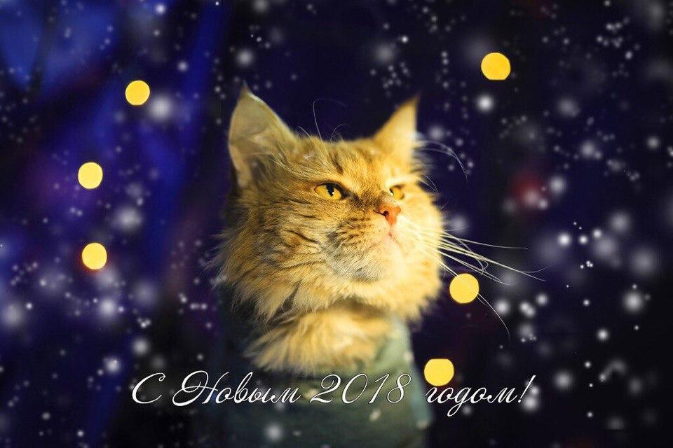 Открытка № 5, Рудик