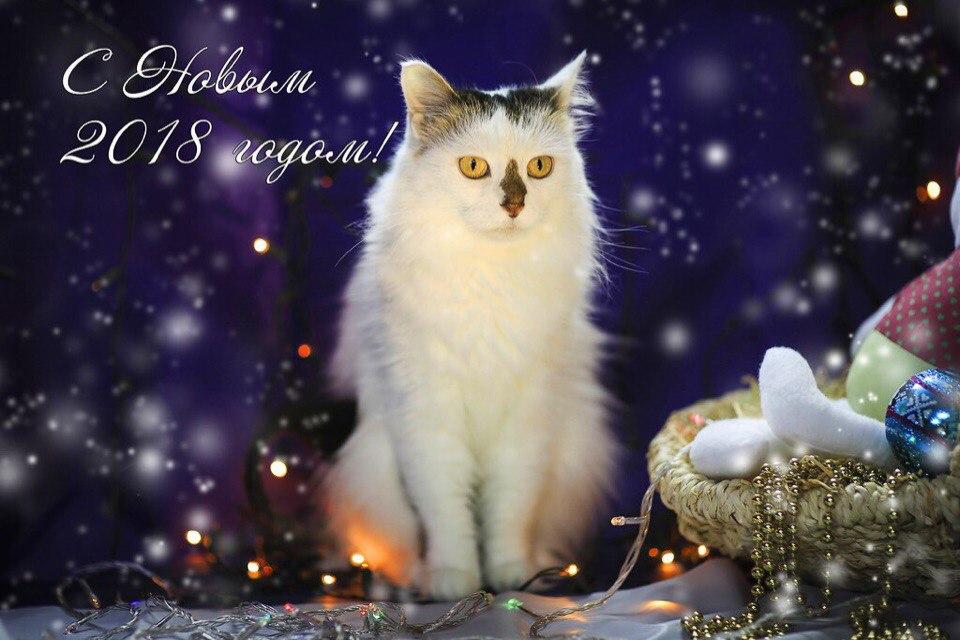 Открытка № 8, Клякса