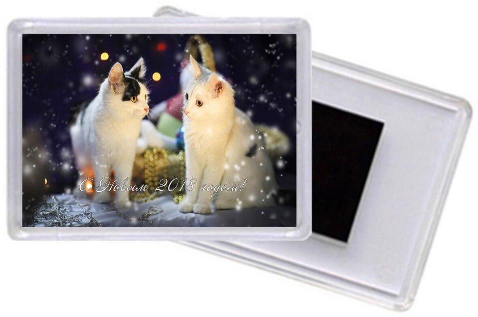 Акриловый магнитик #7, Проша и Тимоша